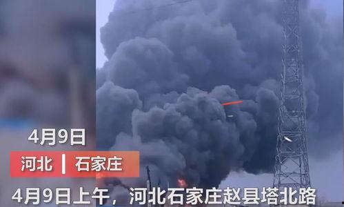 砀山最新事件爆料视频播放,视频爆料揭示惊人真相！  第3张